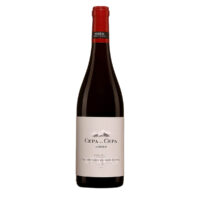 Botella de Nekeas Cepa x Cepa, vino tinto de Garnacha de la D.O. Navarra.